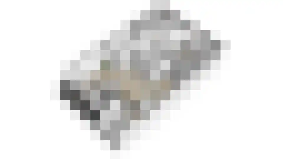 Stoeterij 24 Huissen thumbnail 28
