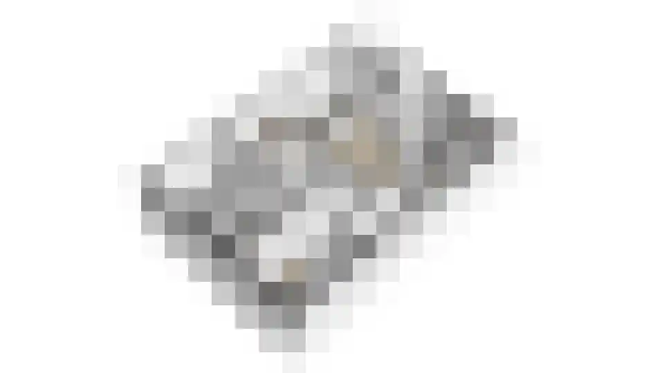 Stoeterij 24 Huissen thumbnail 29