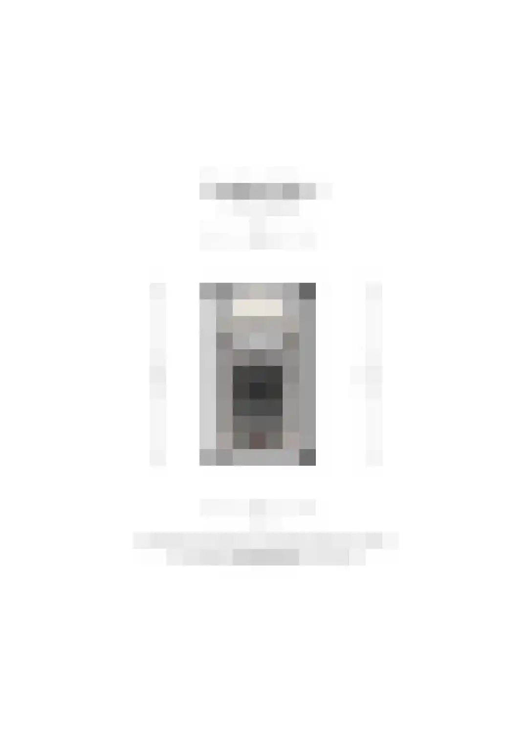 Stoeterij 24 Huissen thumbnail 33