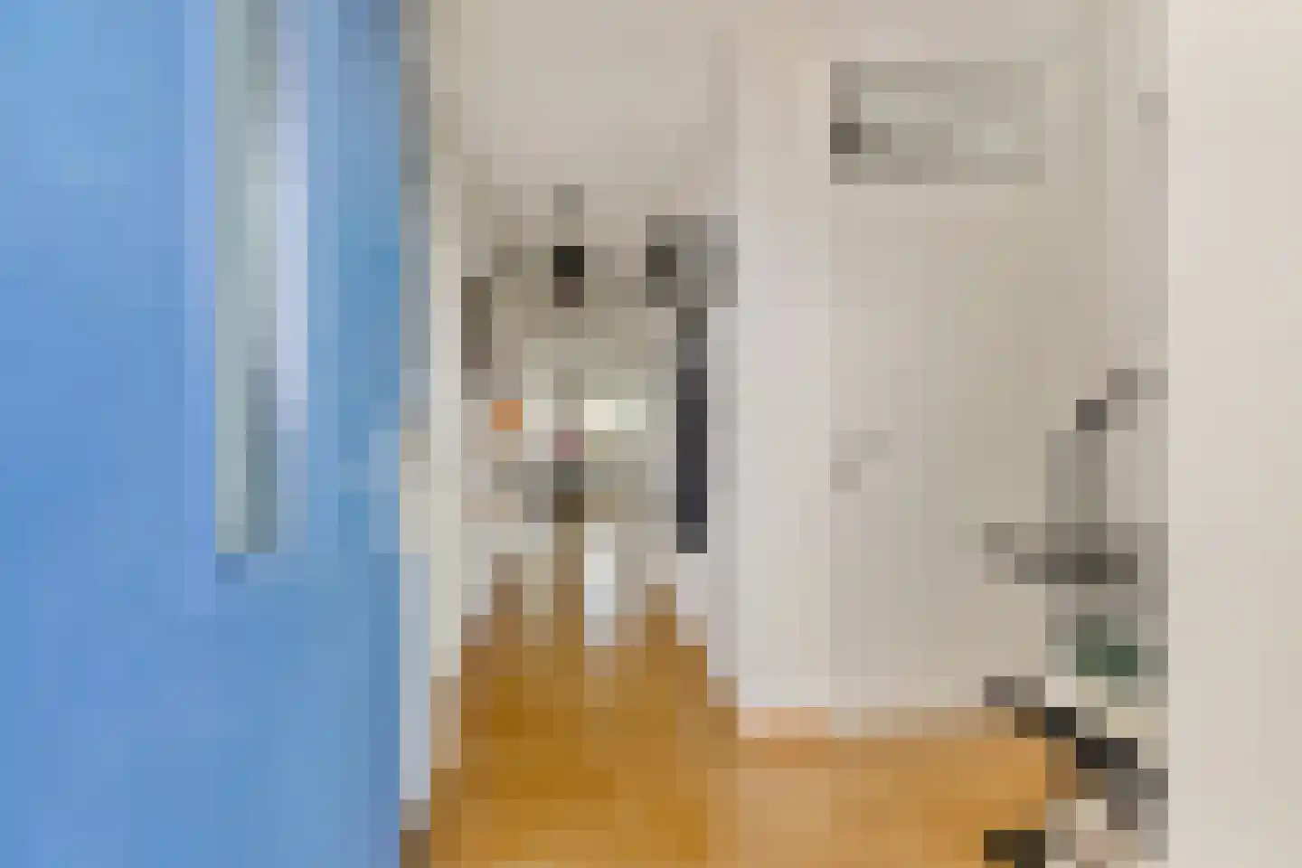Stoeterij 24 Huissen thumbnail 5