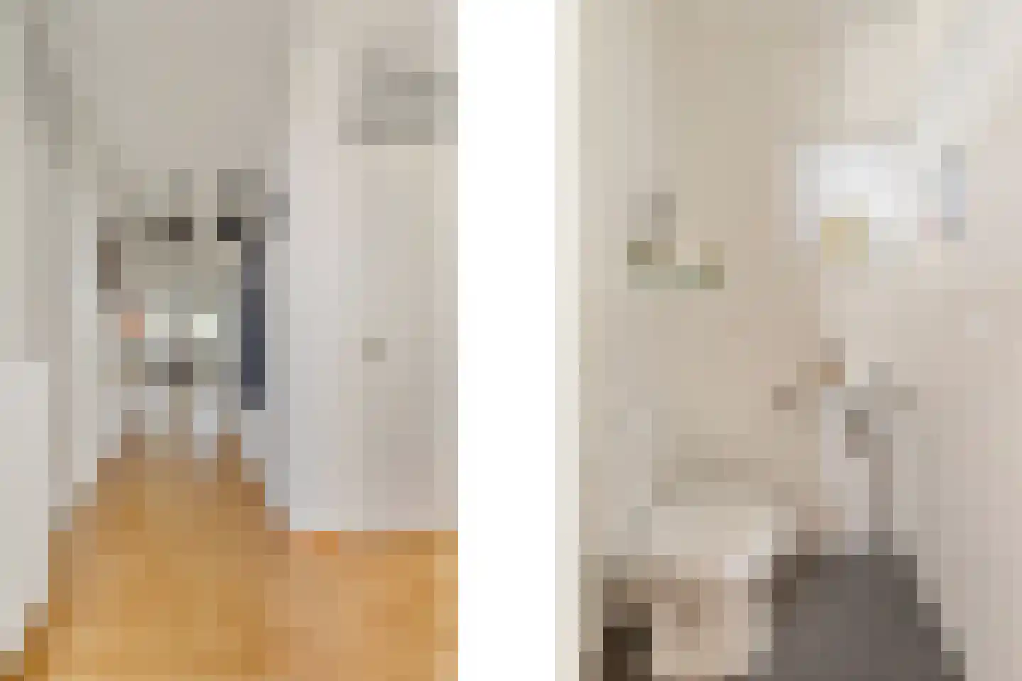 Stoeterij 24 Huissen thumbnail 6