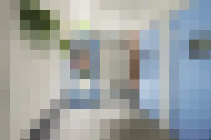 Stoeterij 44 Huissen thumbnail 14