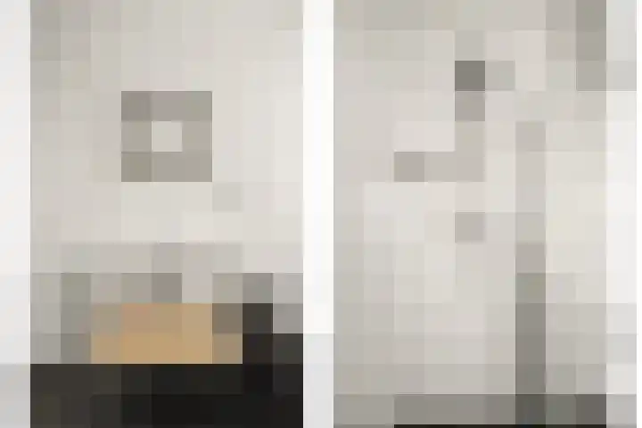 Stoeterij 44 Huissen thumbnail 24
