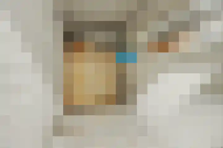 Stoeterij 44 Huissen thumbnail 25