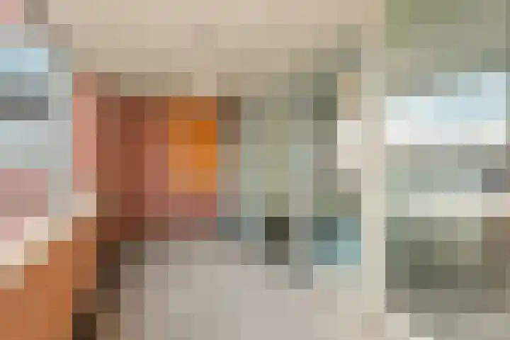 Stoeterij 44 Huissen thumbnail 29