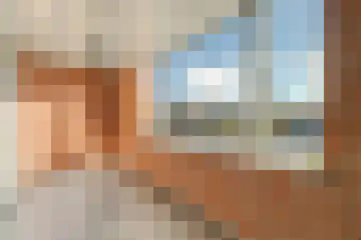 Stoeterij 44 Huissen thumbnail 30