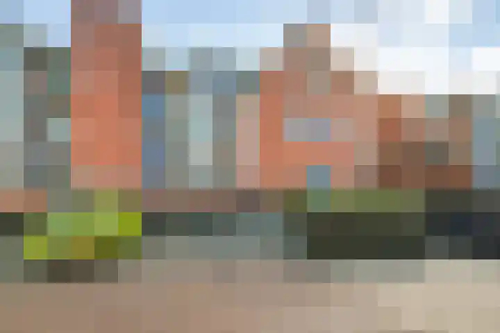 Stoeterij 44 Huissen thumbnail 34