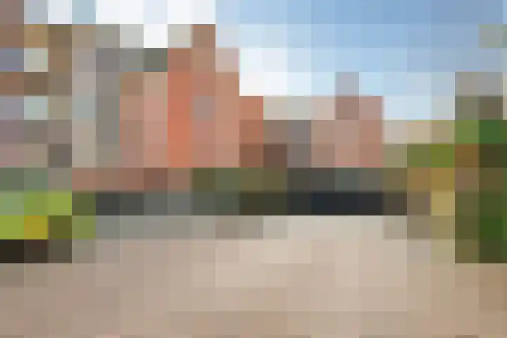 Stoeterij 44 Huissen thumbnail 35