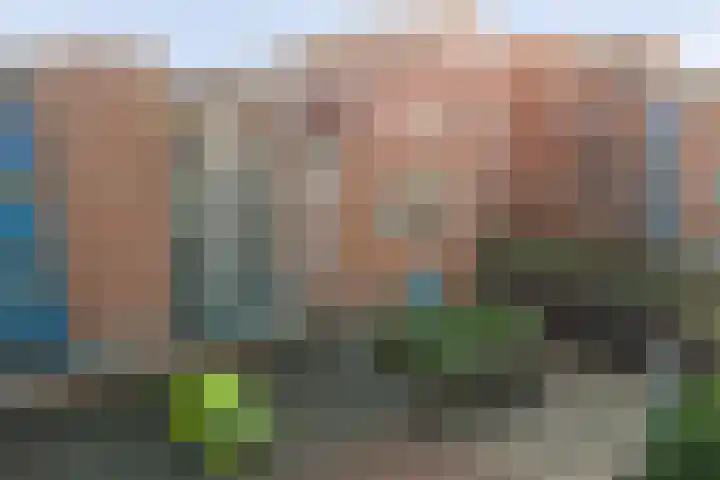 Stoeterij 44 Huissen thumbnail 36