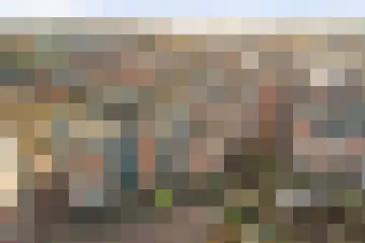 Stoeterij 44 Huissen thumbnail 37