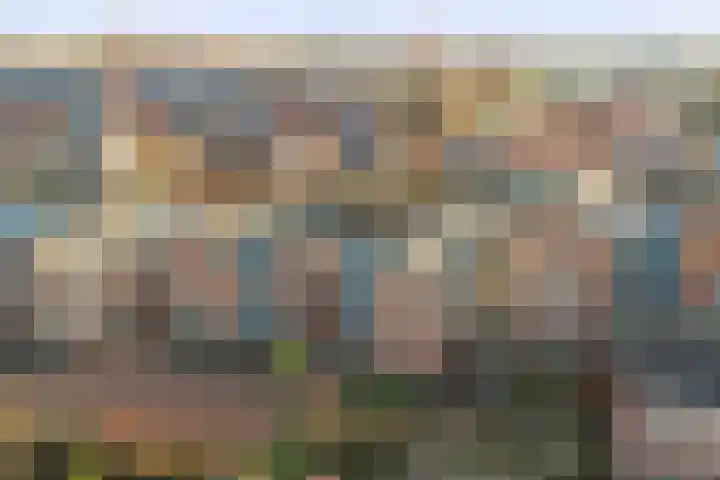 Stoeterij 44 Huissen thumbnail 38