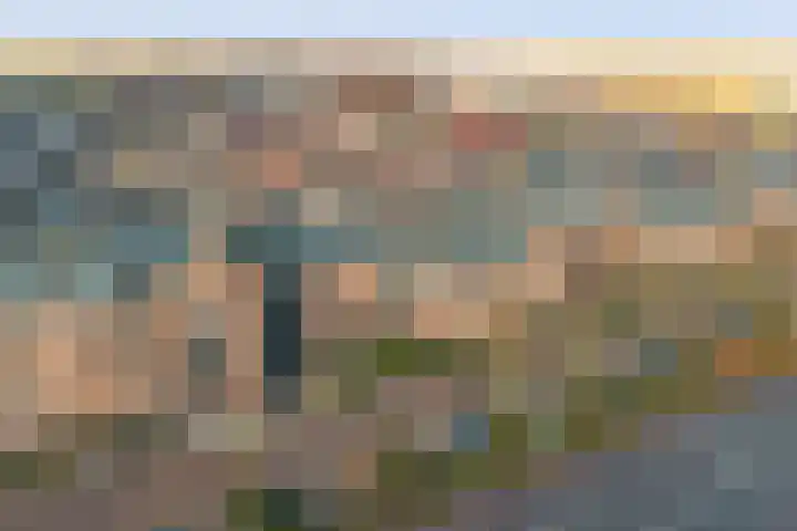 Stoeterij 44 Huissen thumbnail 39