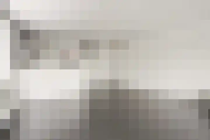 Stoeterij 44 Huissen thumbnail 7