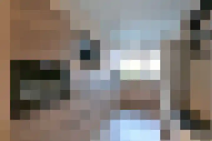 Stoevelaar 4 Deventer thumbnail 12