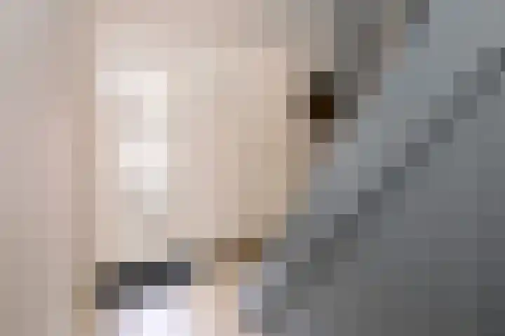 Stoevelaar 4 Deventer thumbnail 15