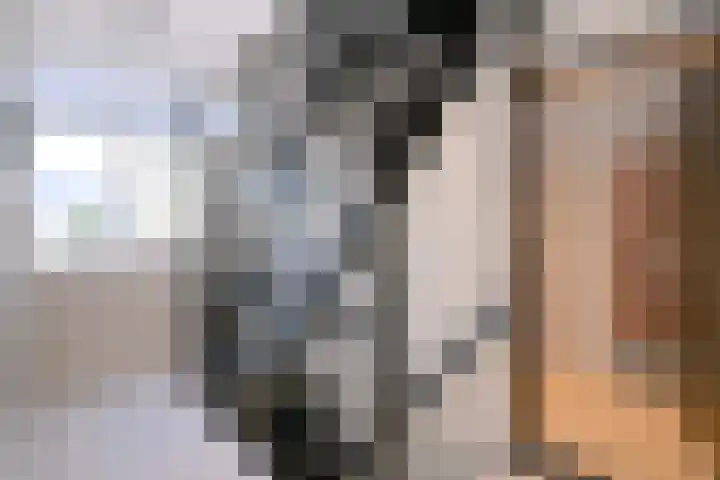 Stoevelaar 4 Deventer thumbnail 18