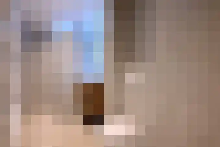 Stoevelaar 4 Deventer thumbnail 19