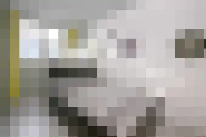 Stoevelaar 4 Deventer thumbnail 27