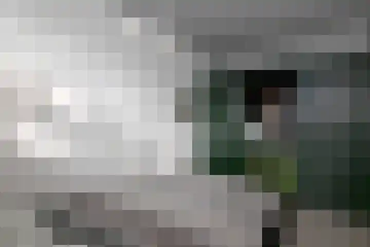Stoevelaar 4 Deventer thumbnail 28
