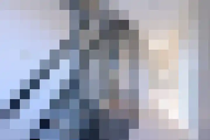 Stoevelaar 4 Deventer thumbnail 30