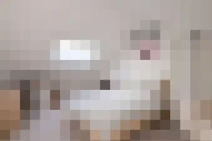 Stoevelaar 4 Deventer thumbnail 32