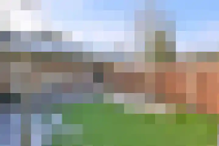 Stoevelaar 4 Deventer thumbnail 36