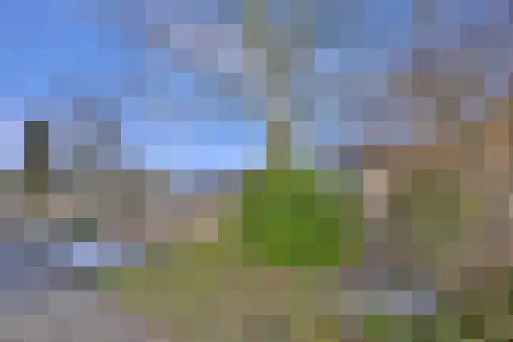 Stoevelaar 4 Deventer thumbnail 42