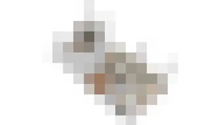 Stoevelaar 4 Deventer thumbnail 51
