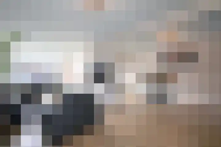 Stoevelaar 4 Deventer thumbnail 6