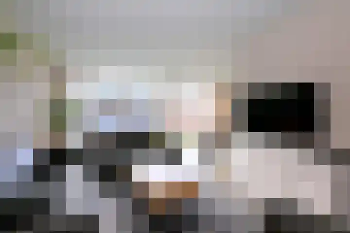 Stoevelaar 4 Deventer thumbnail 7