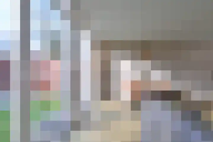 Stoevelaar 4 Deventer thumbnail 8