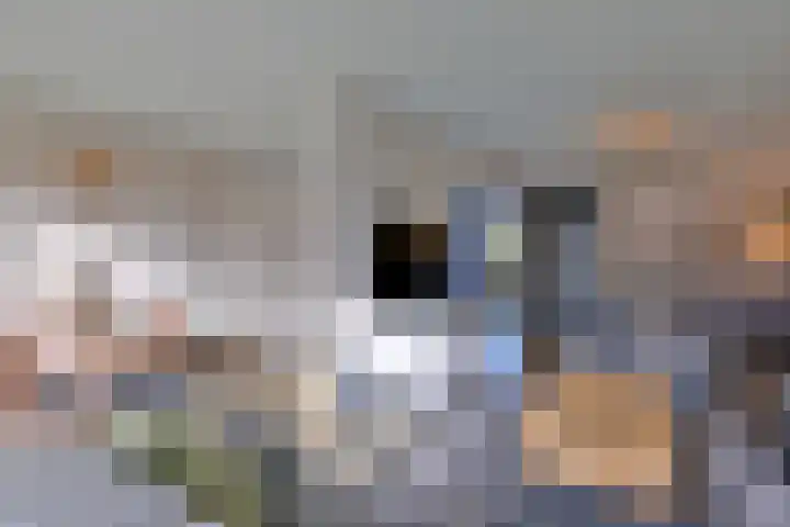 Stoevelaar 4 Deventer thumbnail 9