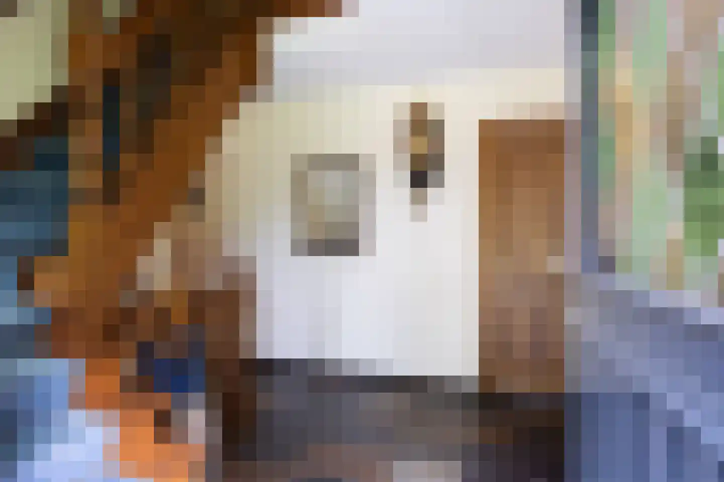 Stoevelaarsweg 2 Goor thumbnail 16