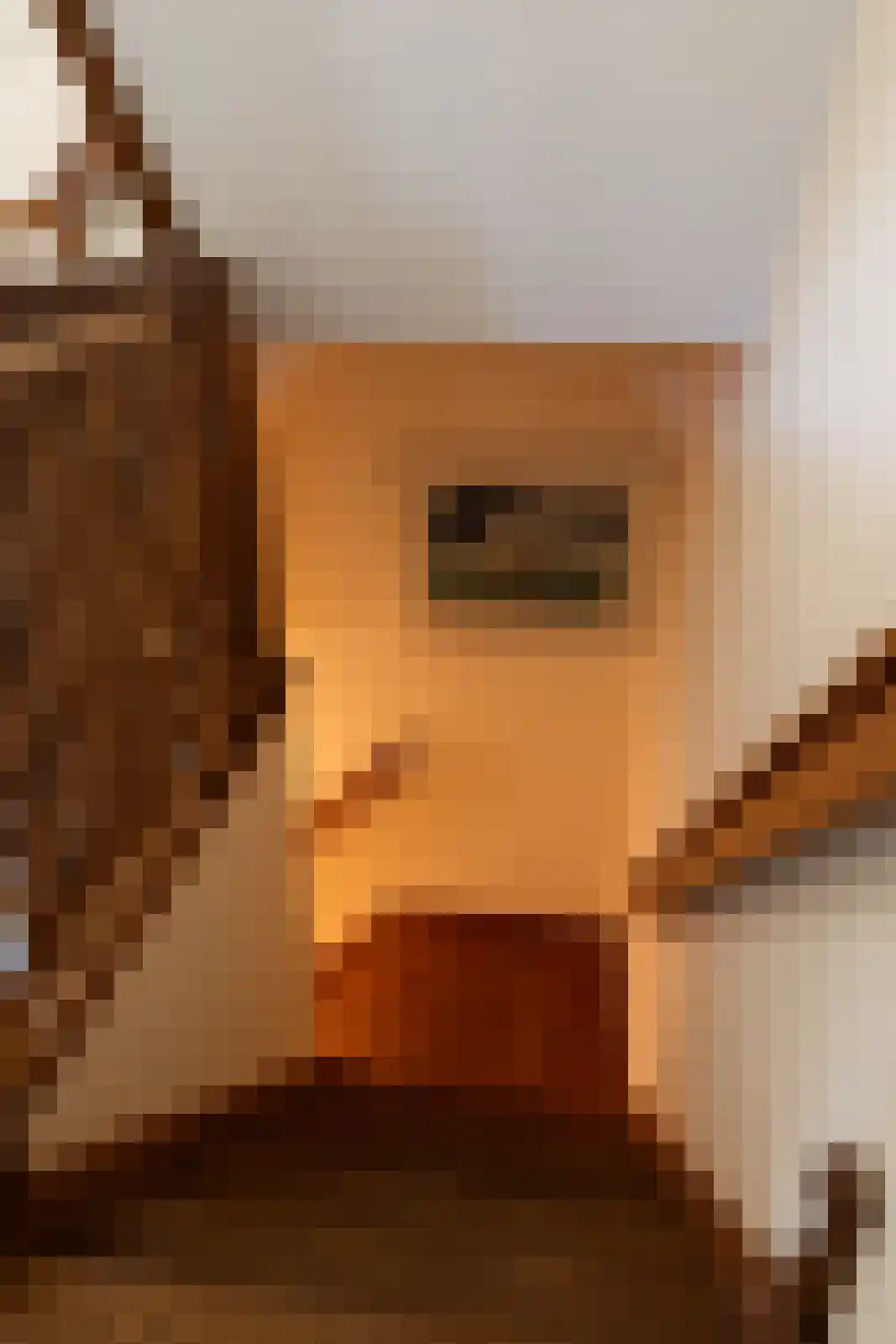 Stoevelaarsweg 2 Goor thumbnail 23