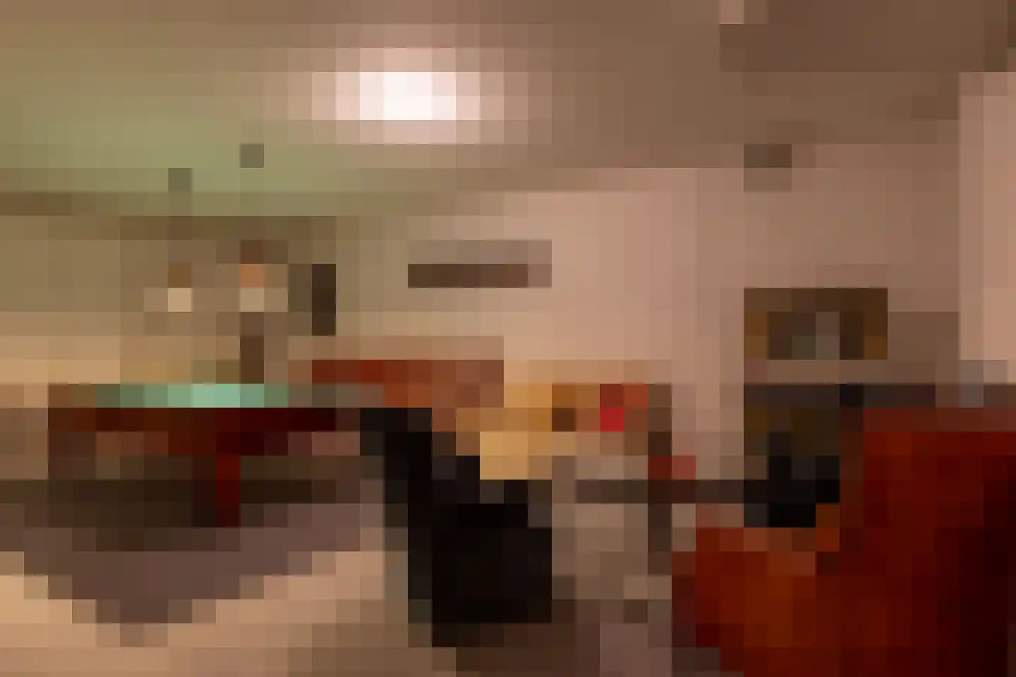 Stoevelaarsweg 2 Goor thumbnail 24