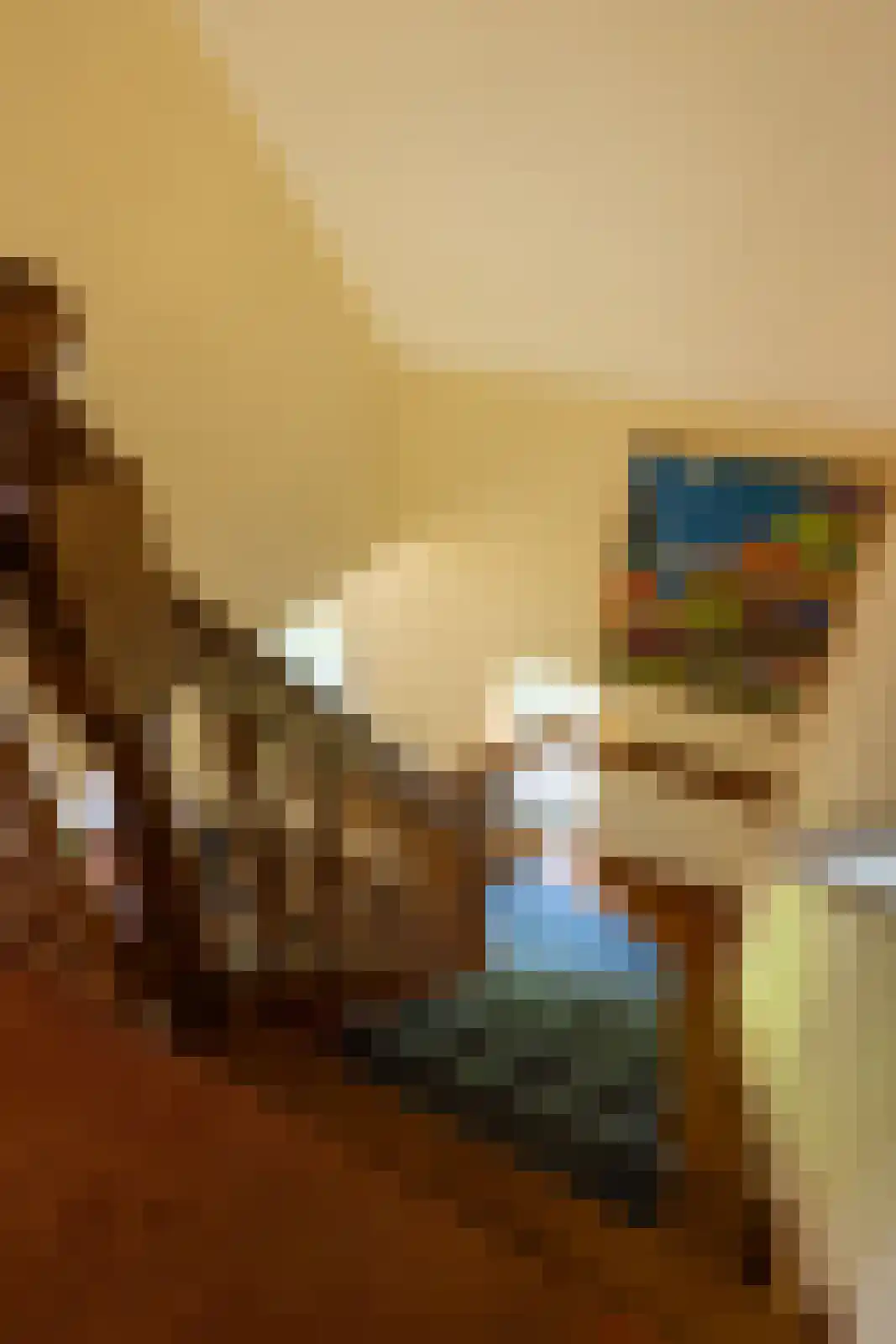 Stoevelaarsweg 2 Goor thumbnail 27