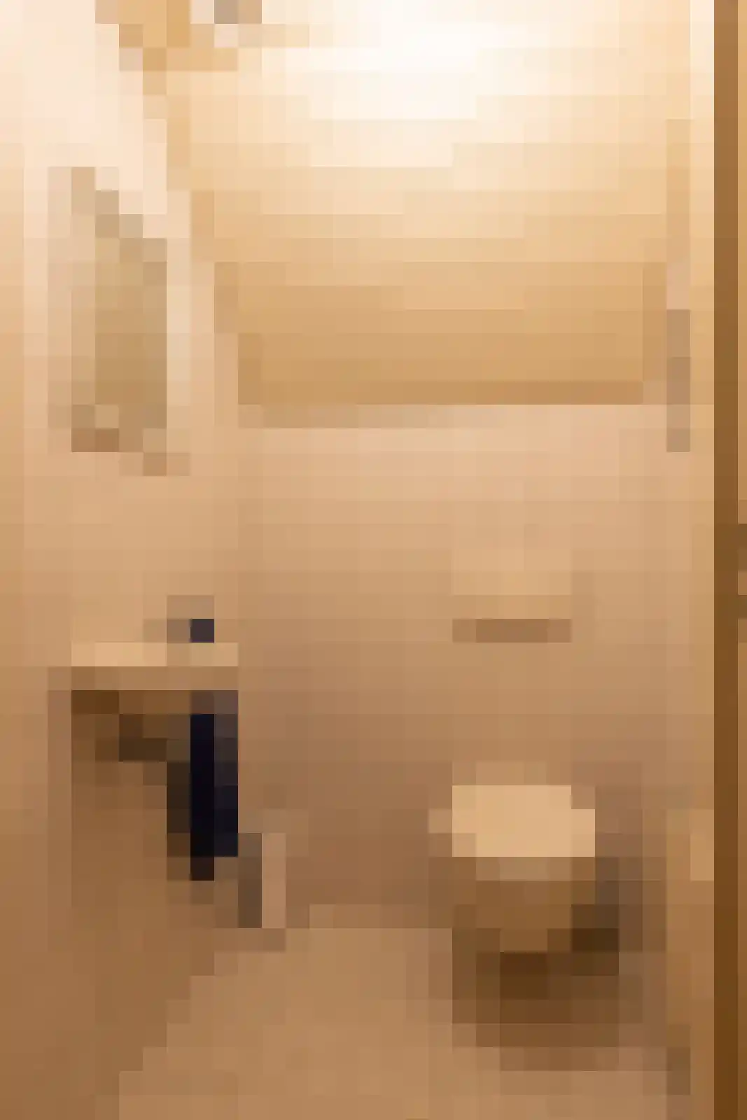 Stoevelaarsweg 2 Goor thumbnail 29