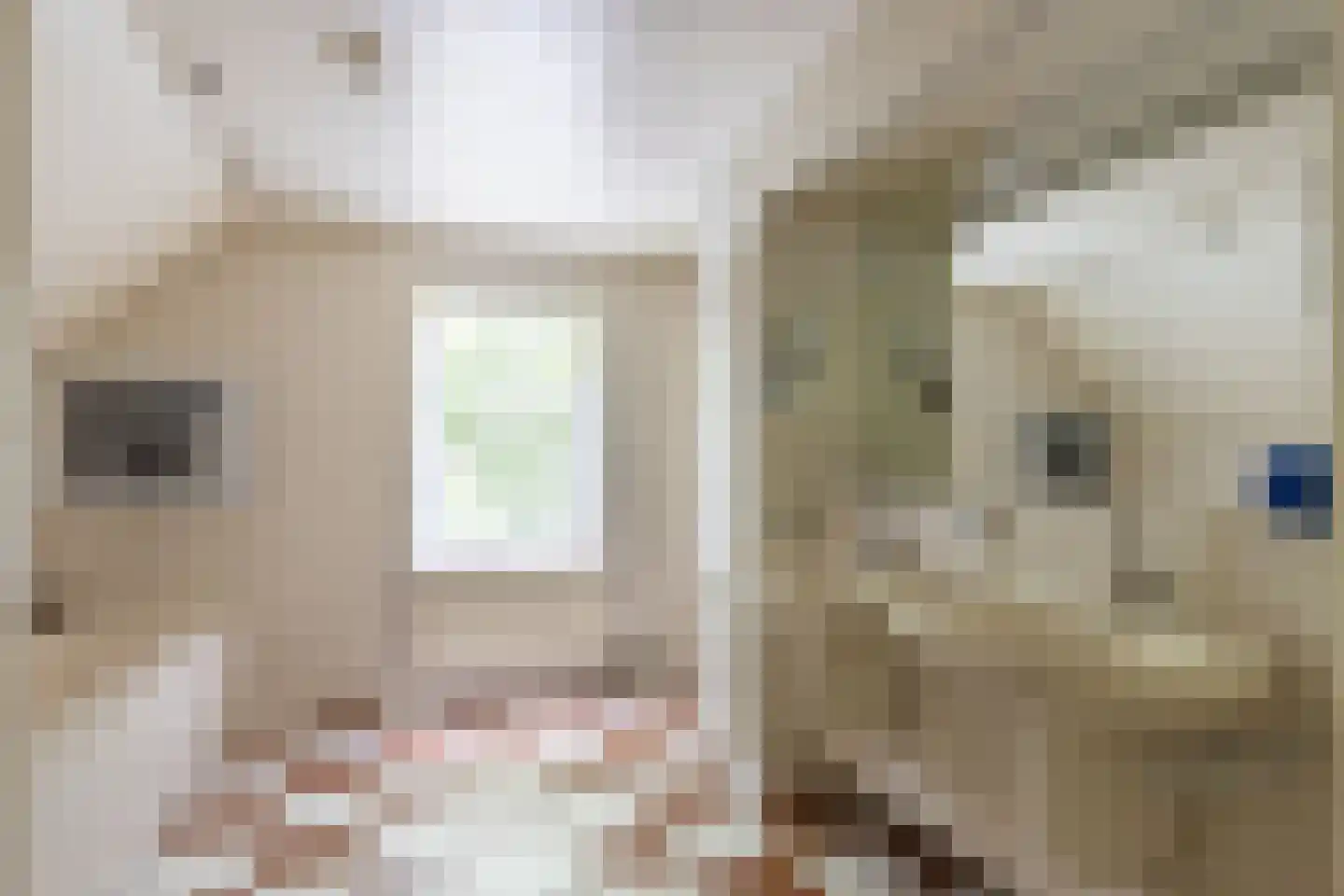 Stoevelaarsweg 2 Goor thumbnail 34