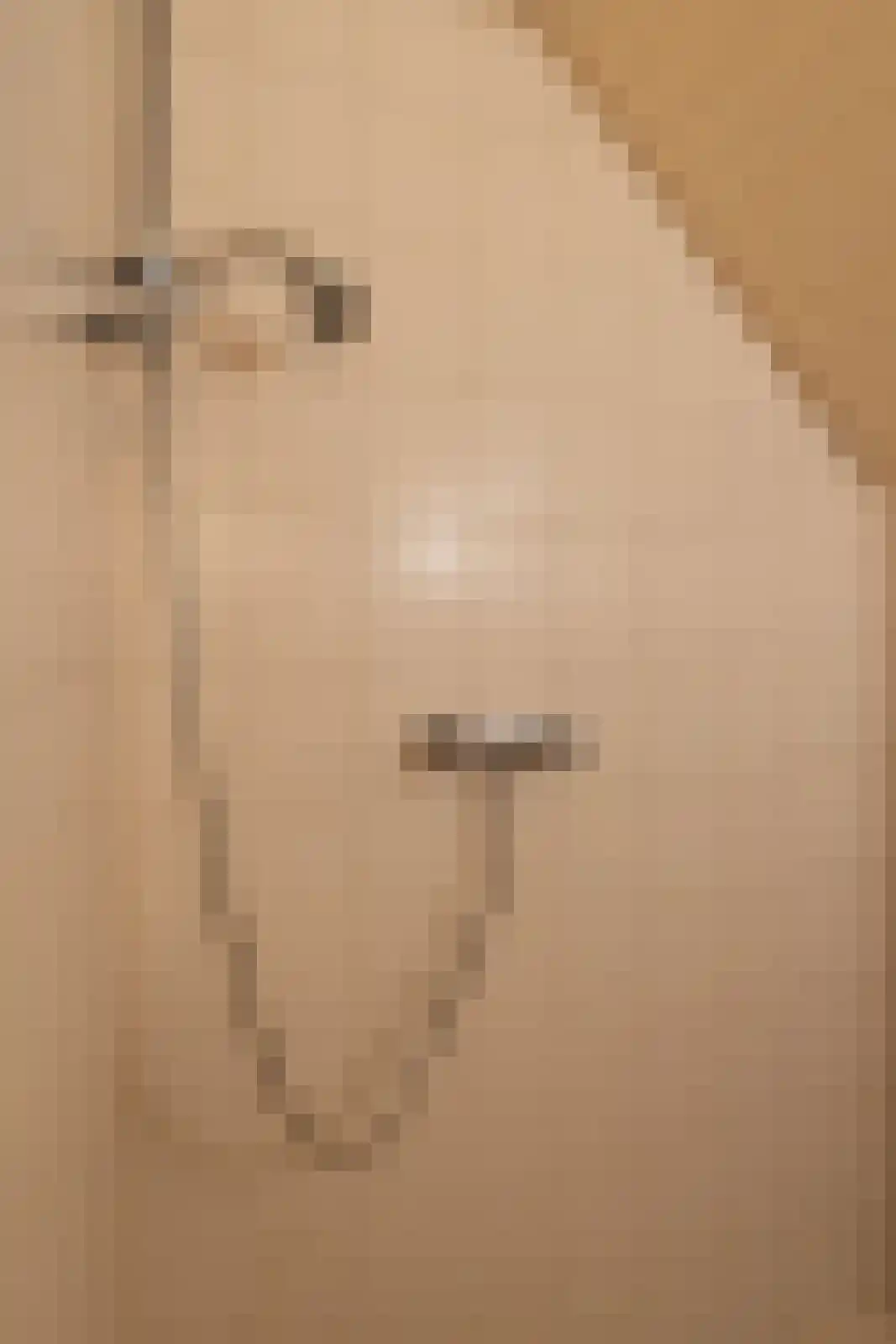Stoevelaarsweg 2 Goor thumbnail 36
