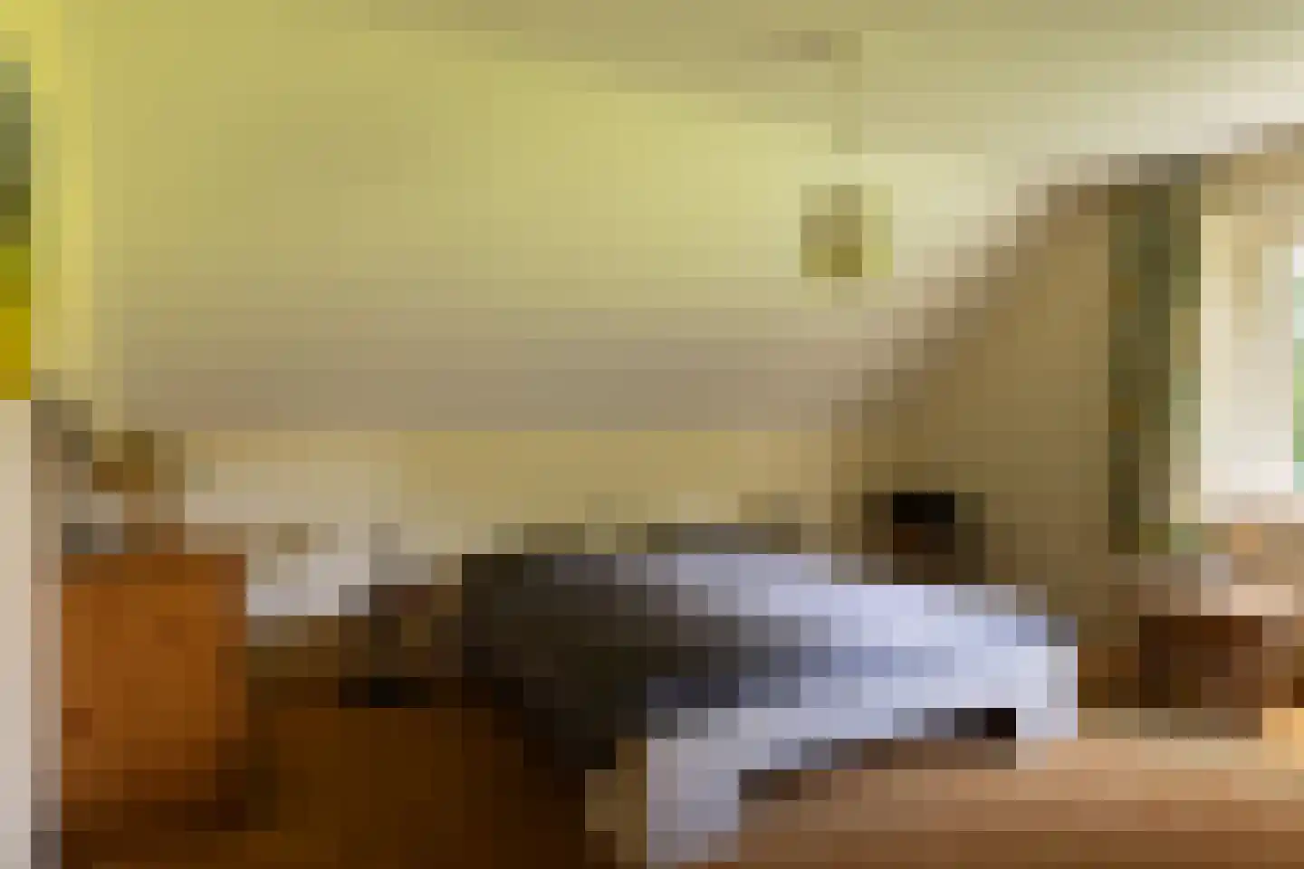 Stoevelaarsweg 2 Goor thumbnail 37