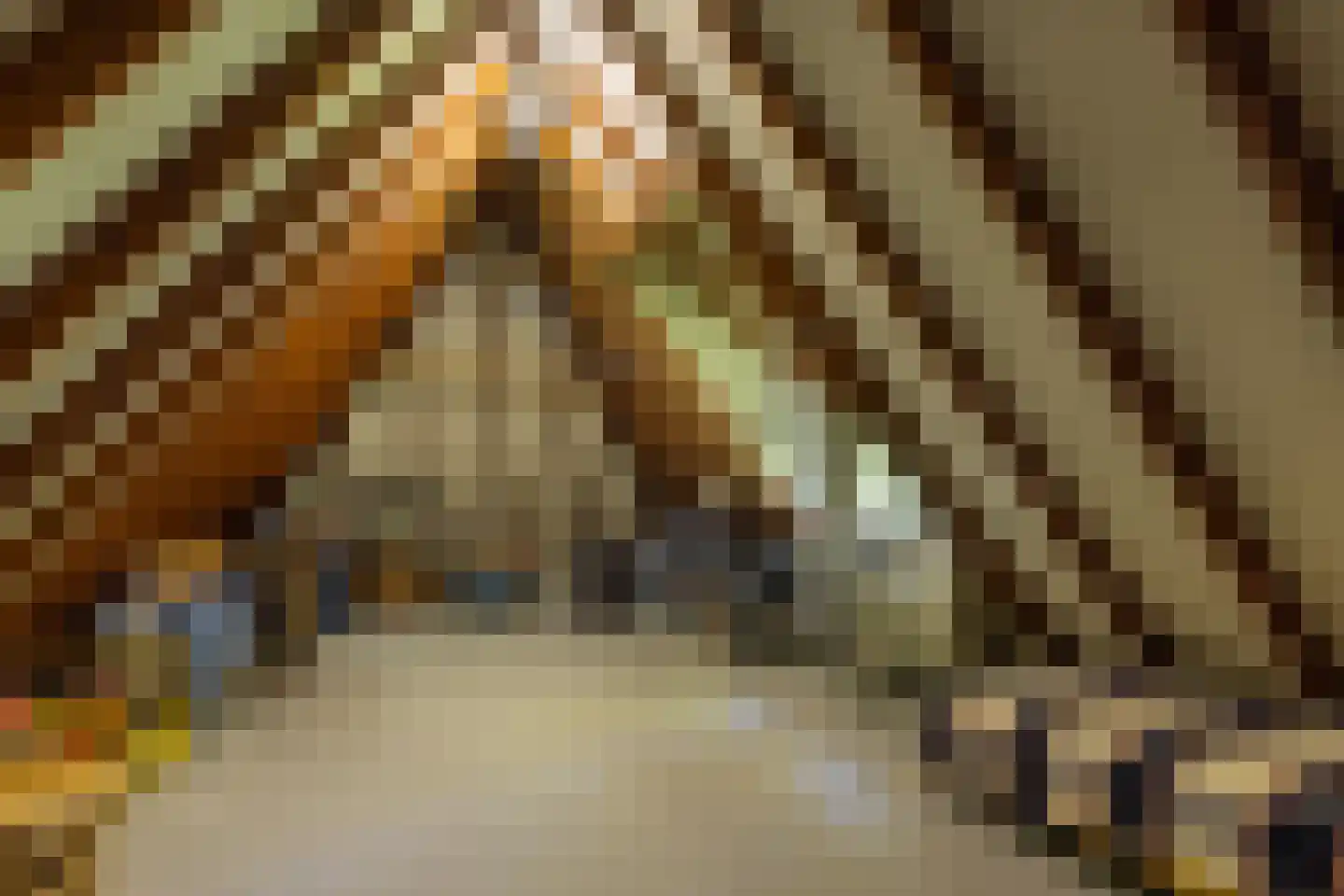 Stoevelaarsweg 2 Goor thumbnail 41