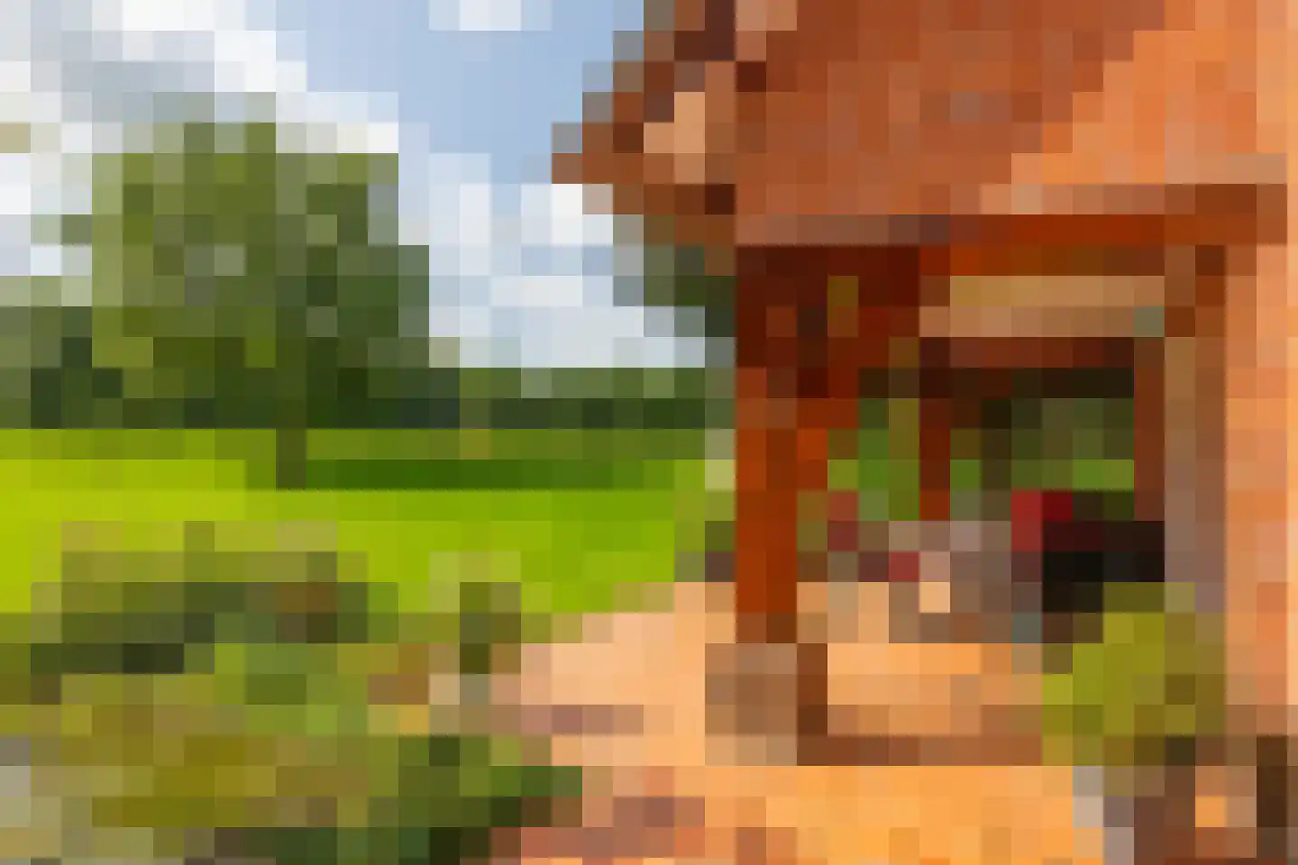 Stoevelaarsweg 2 Goor thumbnail 42
