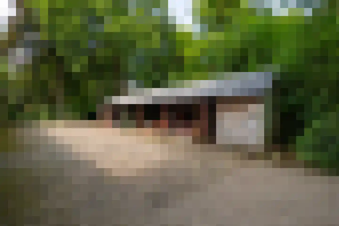 Stoevelaarsweg 2 Goor thumbnail 47