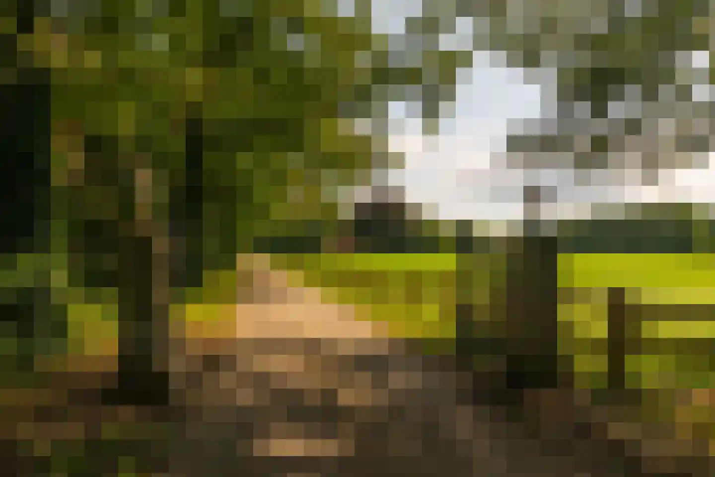 Stoevelaarsweg 2 Goor thumbnail 48