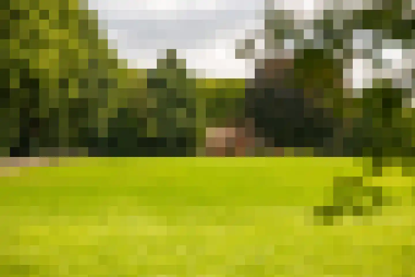 Stoevelaarsweg 2 Goor thumbnail 49