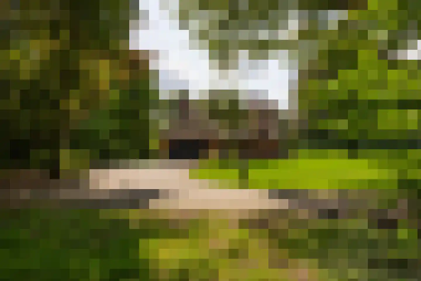 Stoevelaarsweg 2 Goor thumbnail 50