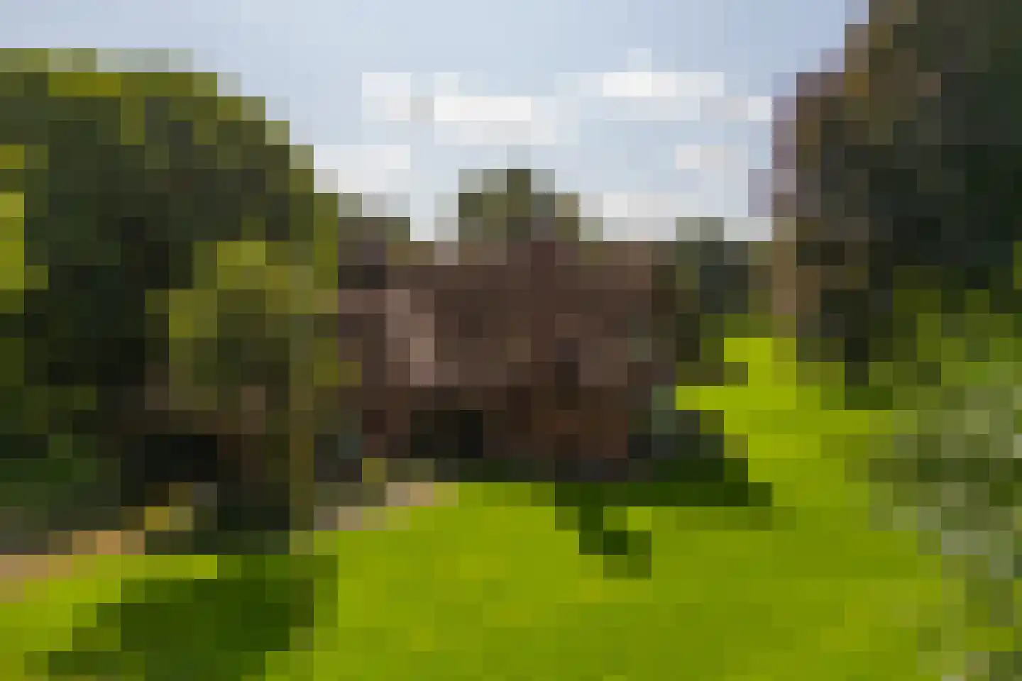 Stoevelaarsweg 2 Goor thumbnail 51