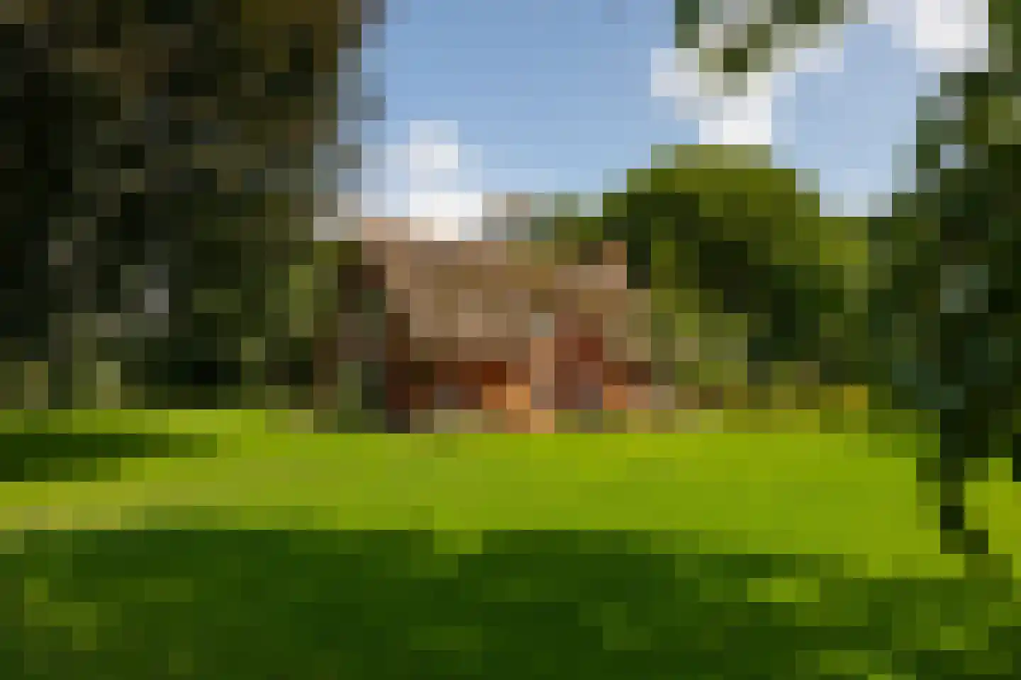 Stoevelaarsweg 2 Goor thumbnail 53