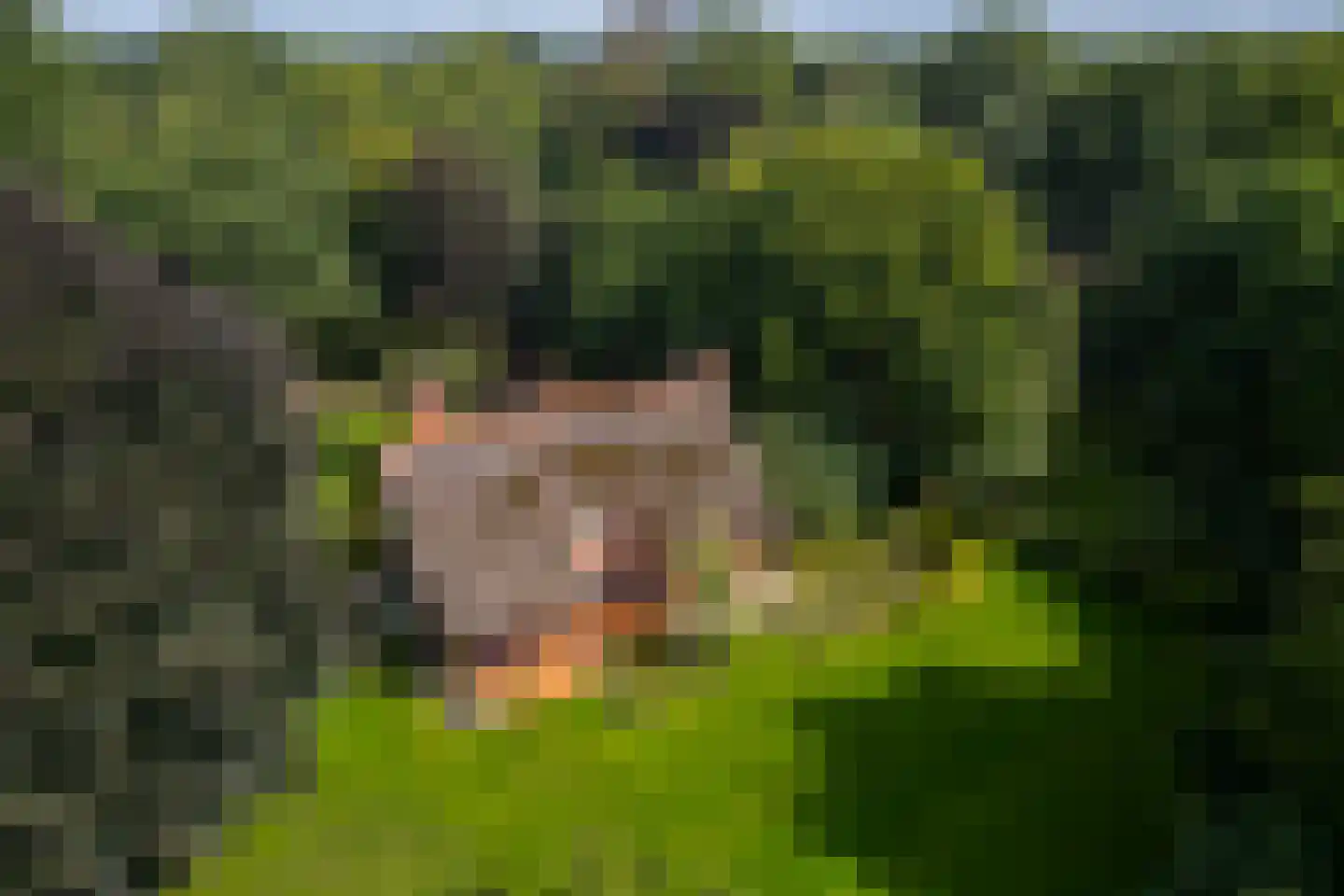 Stoevelaarsweg 2 Goor thumbnail 54
