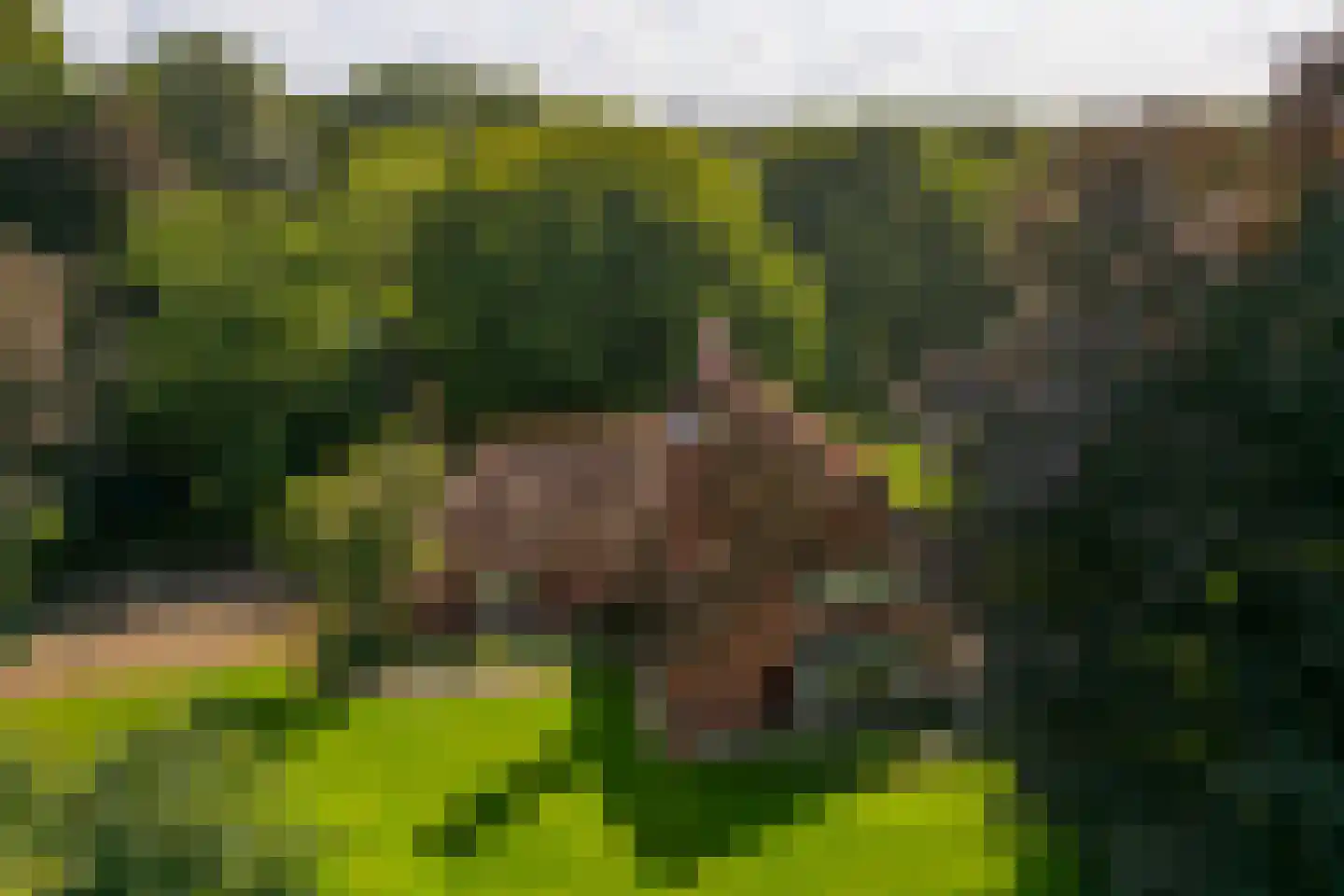 Stoevelaarsweg 2 Goor thumbnail 55
